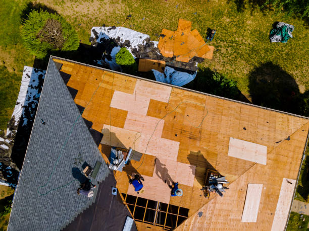 Best Metal Roofing Contractor  in Polk City, IA