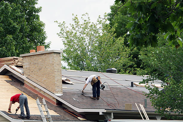 Best Roof Gutter Cleaning  in Polk City, IA